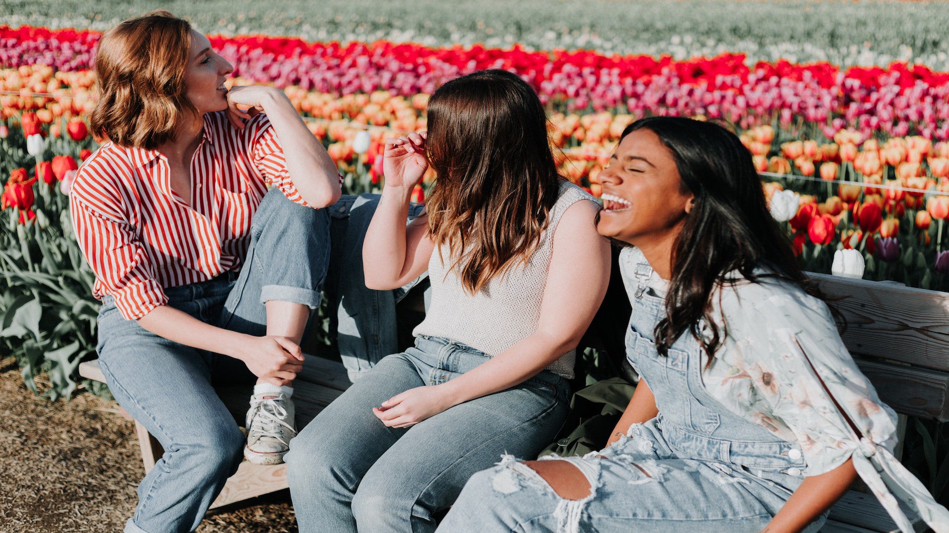 Three women at a flower field.