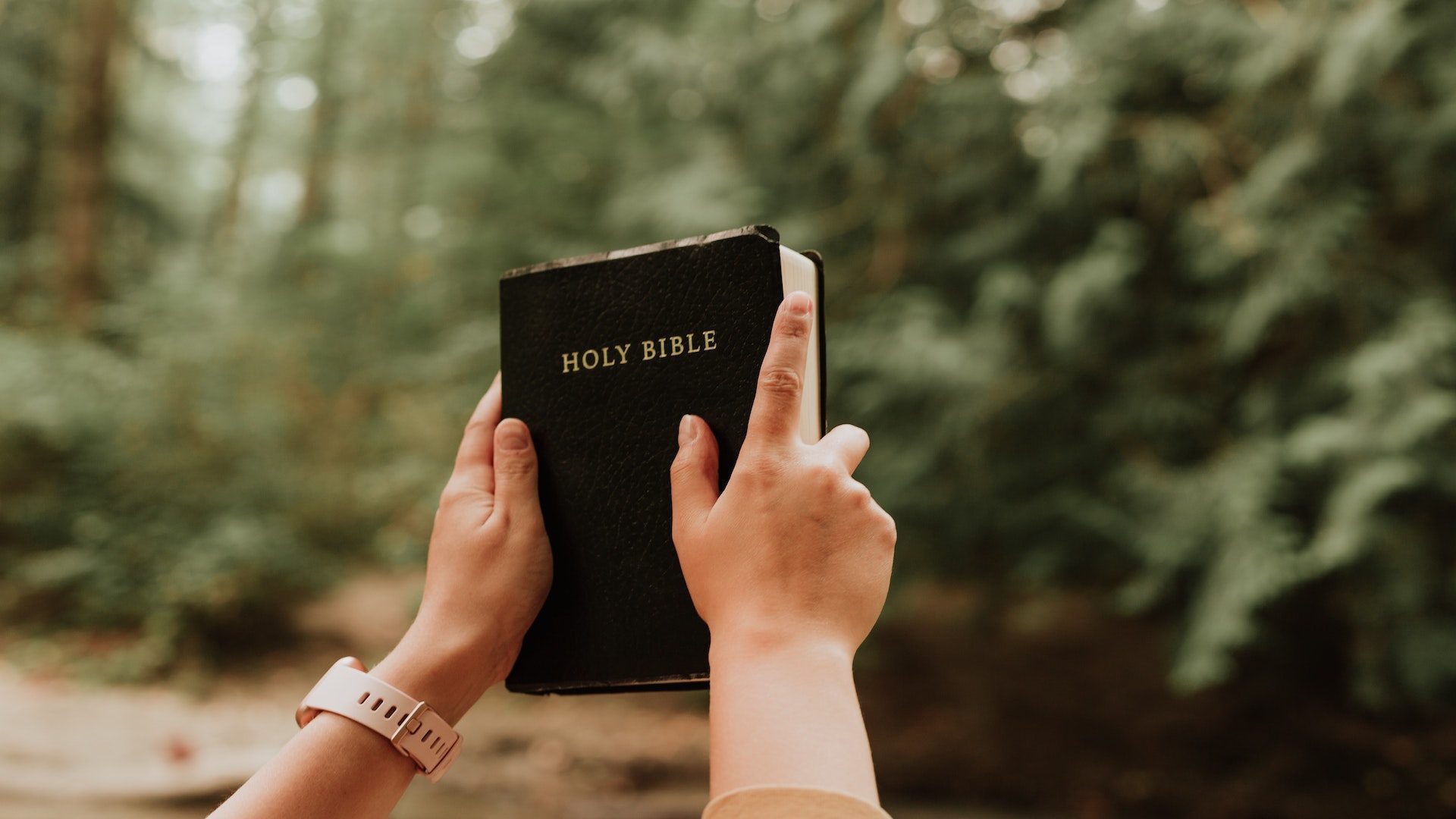 A person holding the Bible in front of trees.