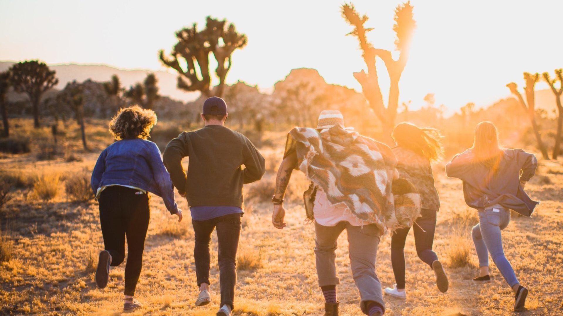 A group of five people running in a field at sunset.