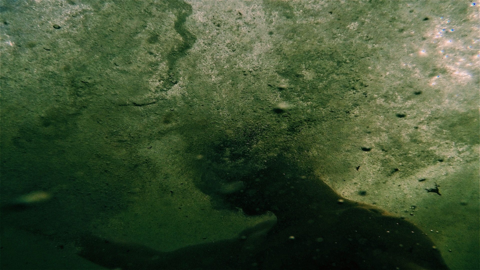 The silhouette of a person underneath green water.