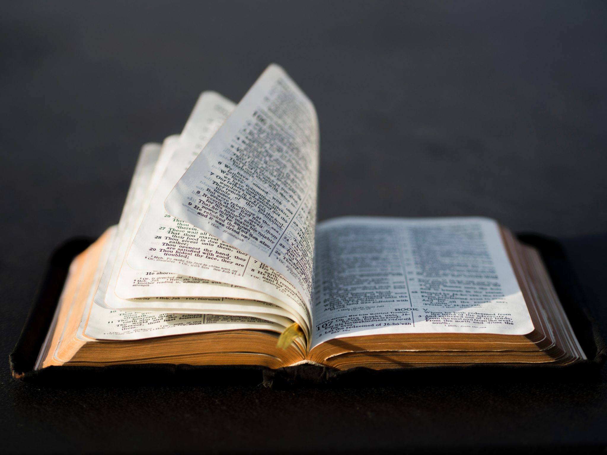 A Bible that is open with the pages fluttering in the wind.