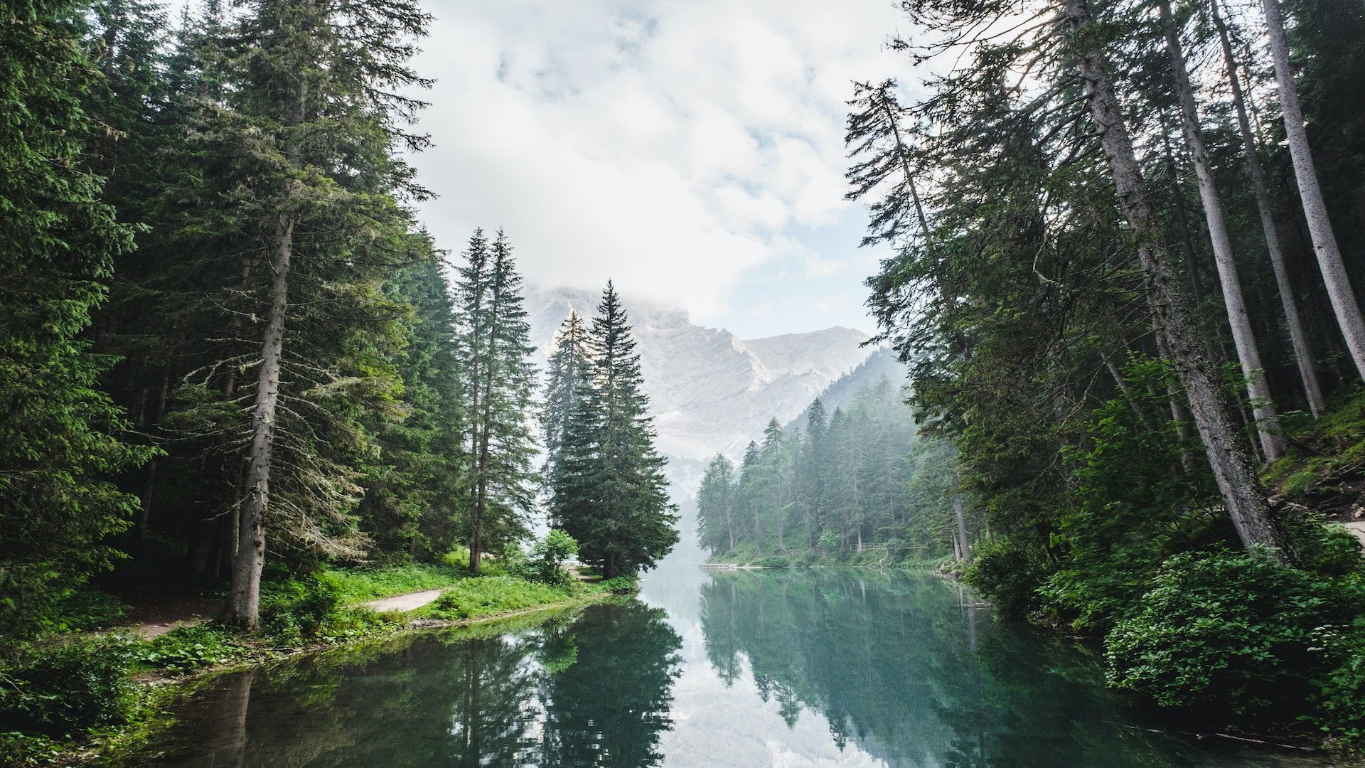 A body of water surrounded by pine trees.