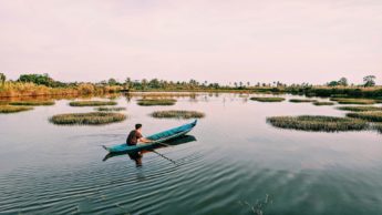 A man in a canoe in a marsh.