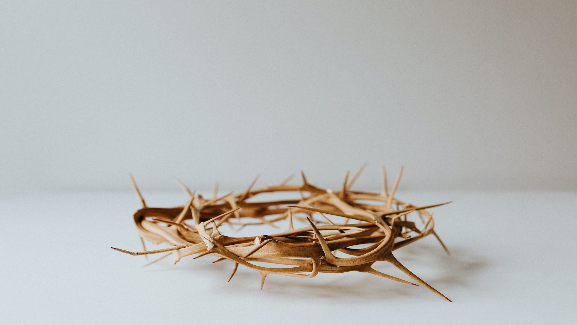 A crown of thorns on a white table.
