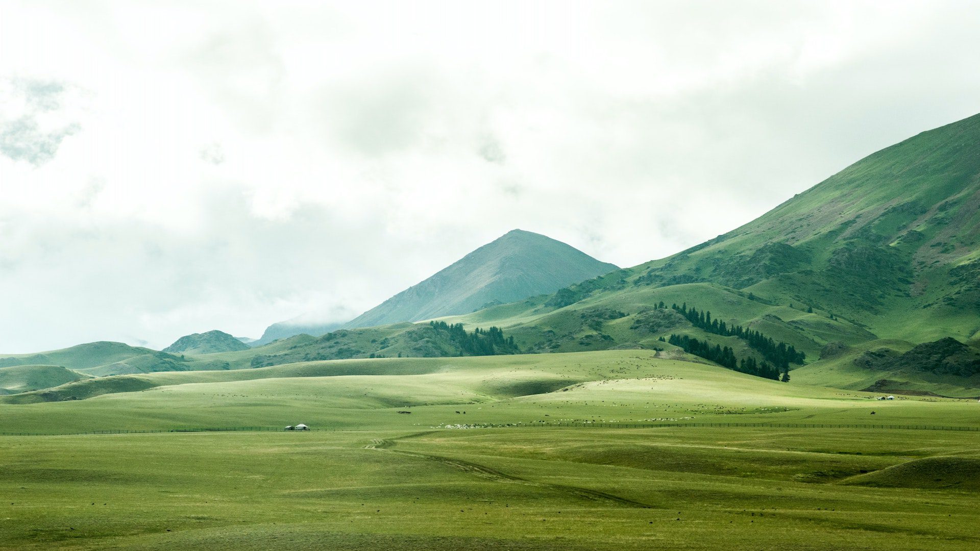 Green pasture in front of mountains on a cloudy day.