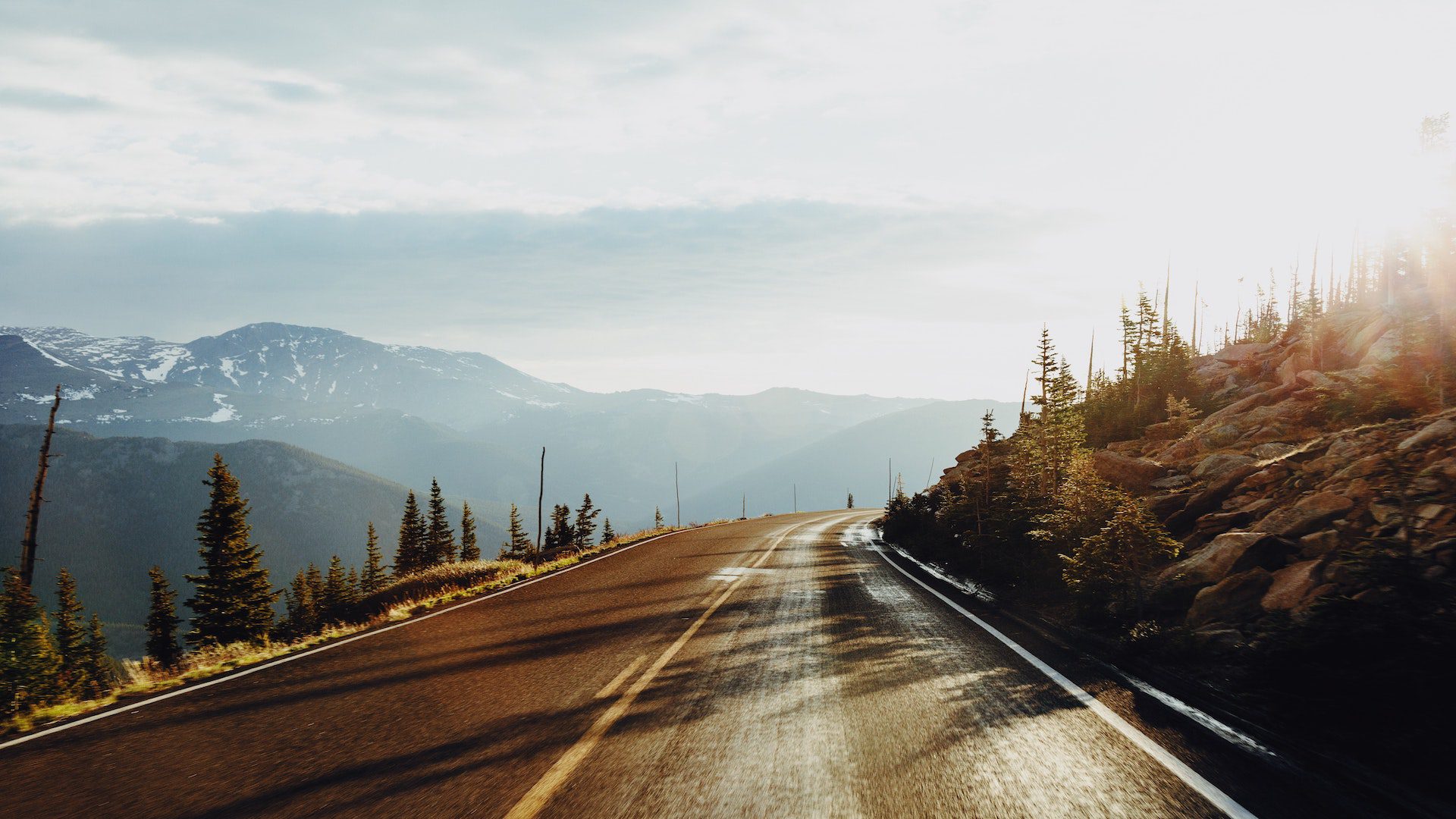 Sunrise over a road lined with trees on the edge of a mountain.