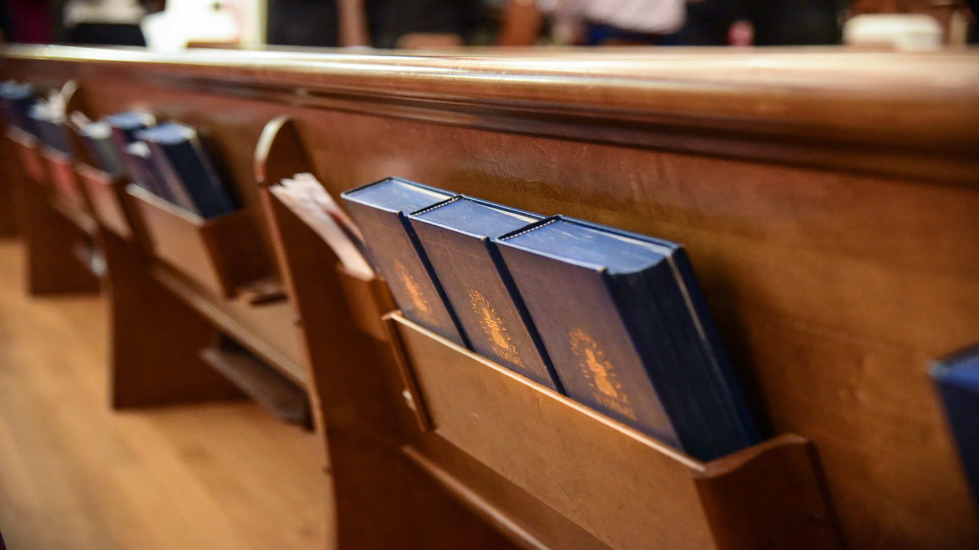 Blue Bibles in shelves on the back wooden pews in a church.