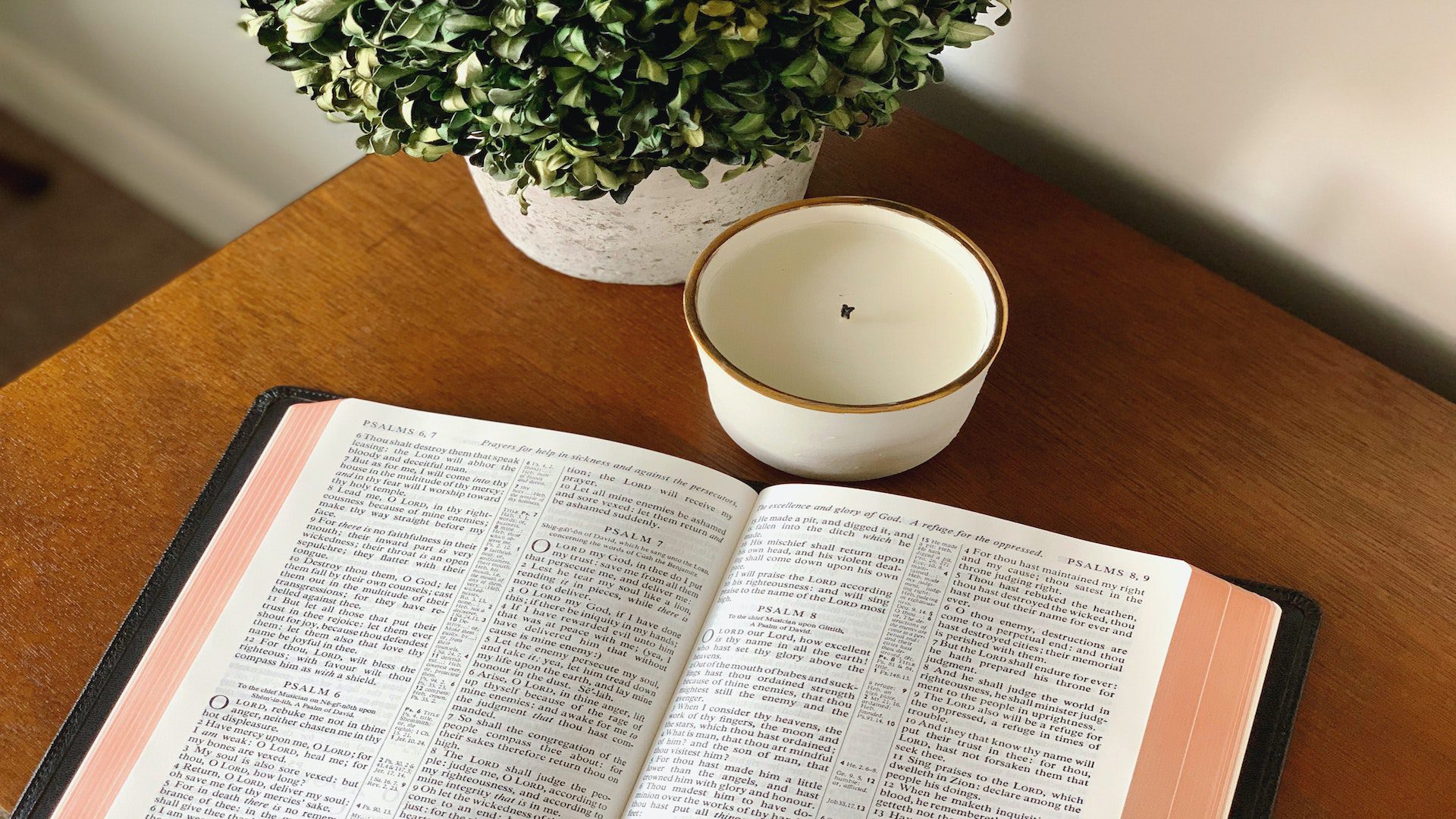 A Bible open on a wooden table next to a candle and a green potted plant.