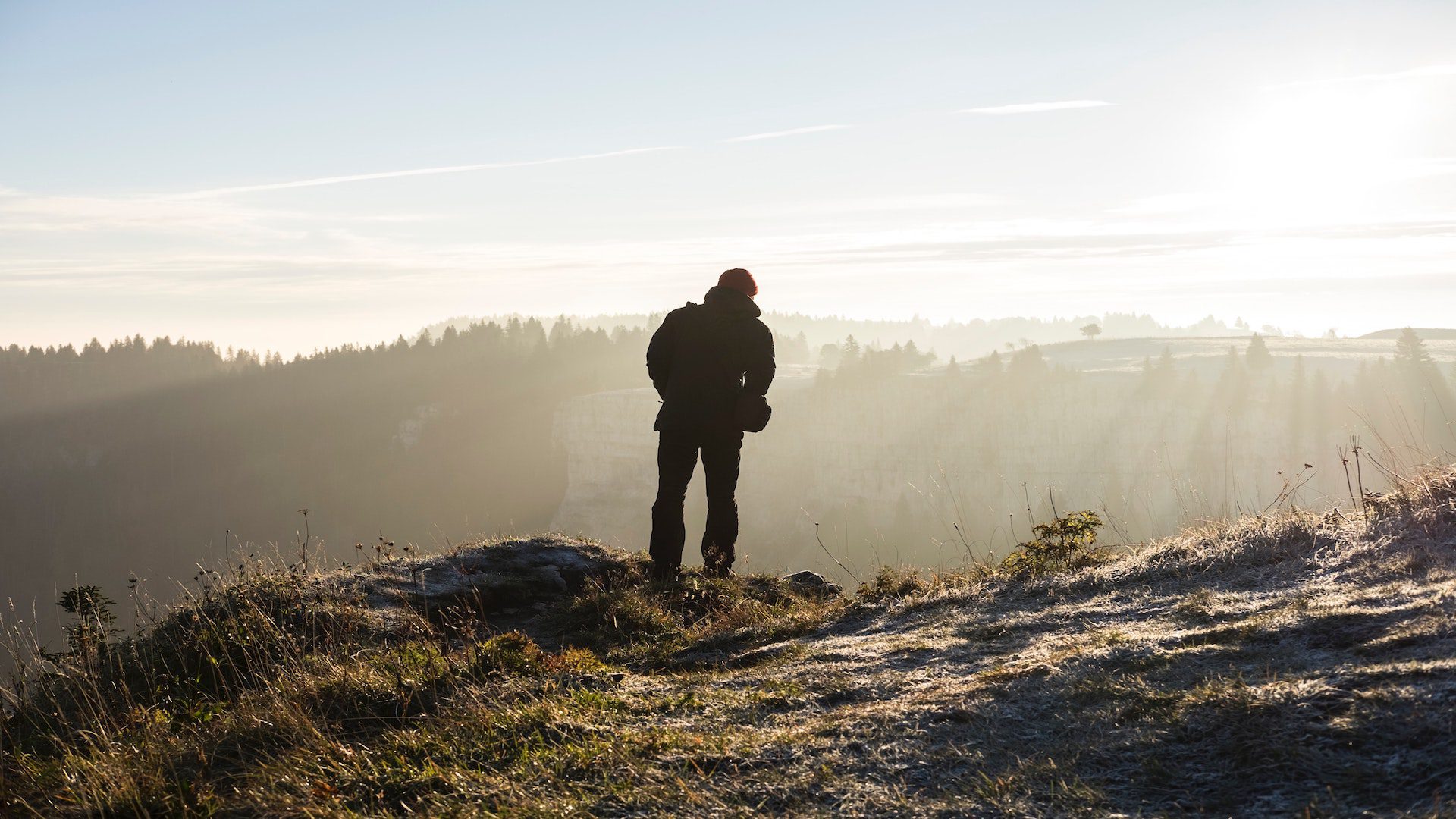 The back of a man standing on a cliff near tree covered mountains.