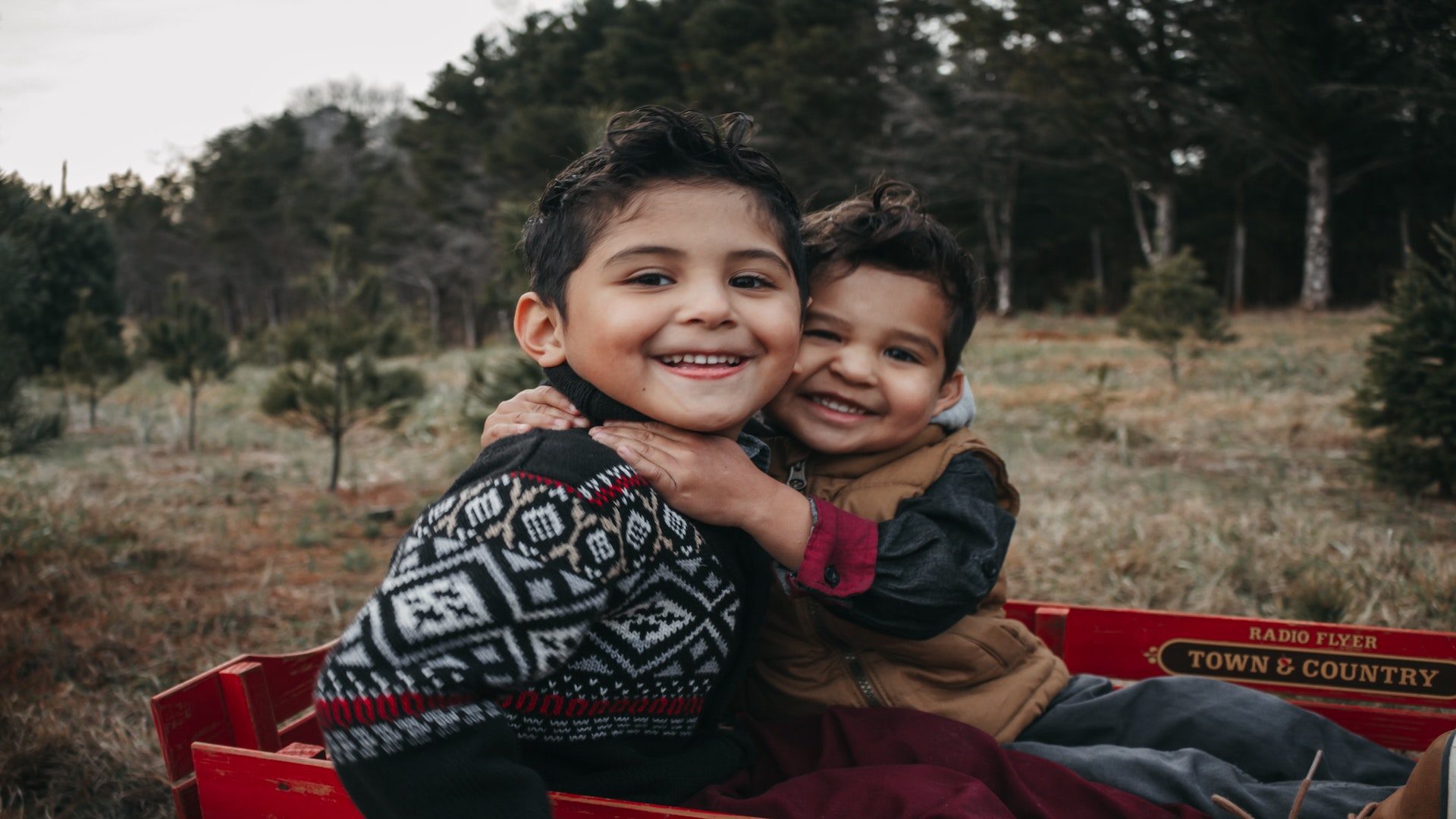 Two young boys hugging in a red wagon at a Christmas tree farm.