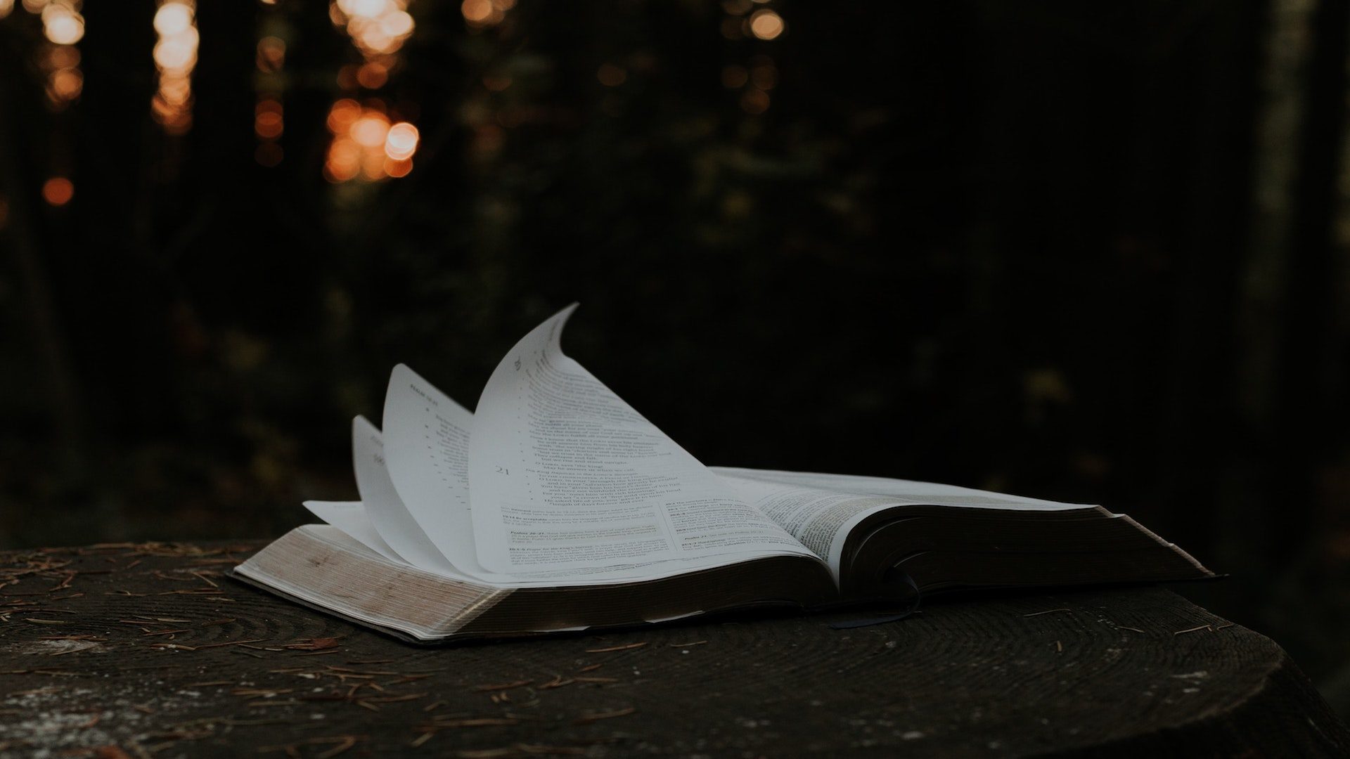 Open Bible on a tree stump outside during a sunset.