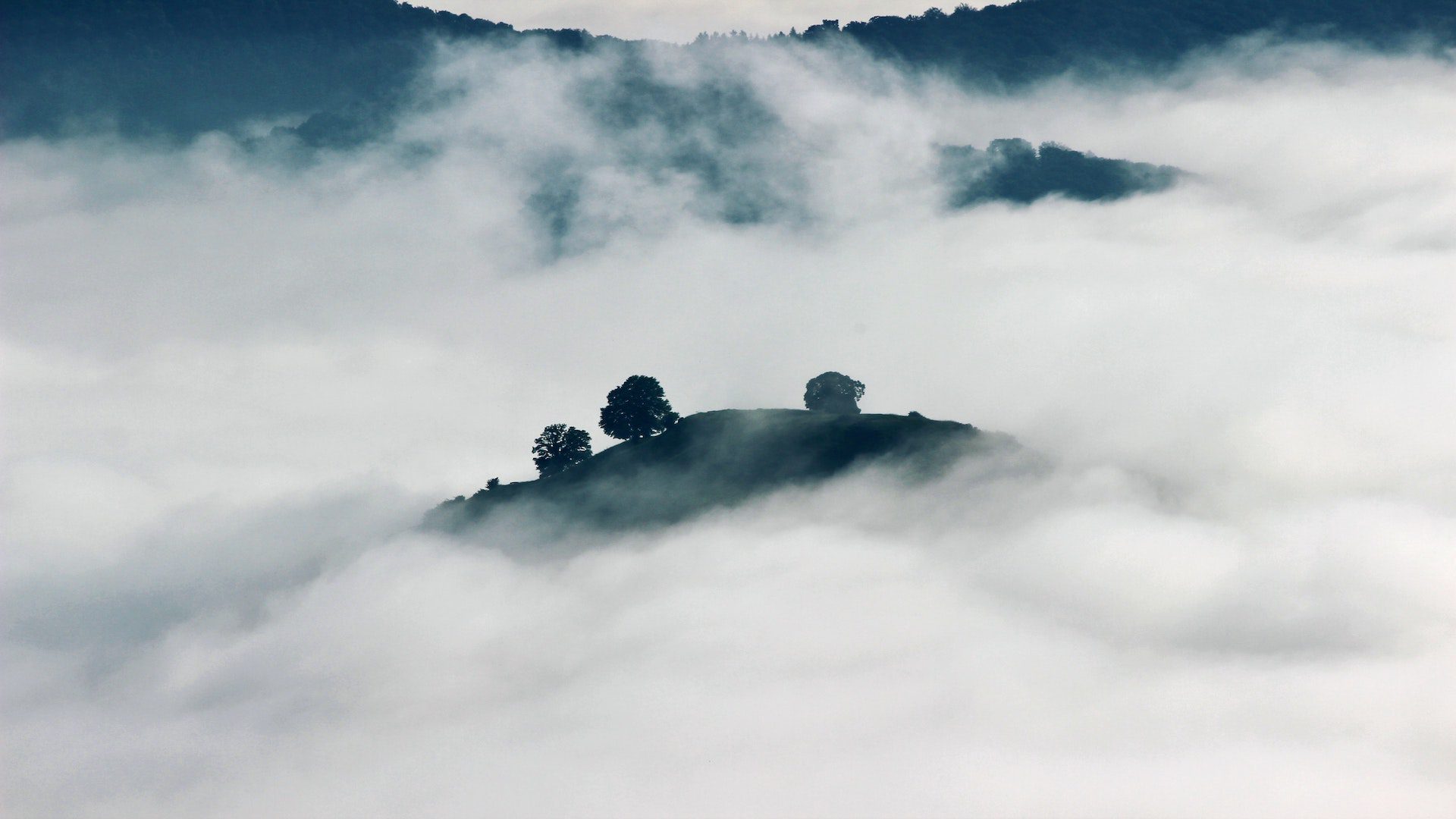 An aerial view of clouds covering mountains with trees.