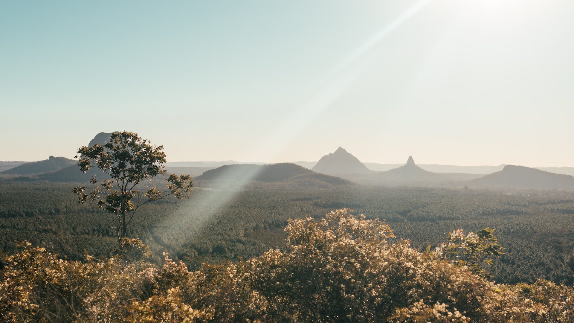 Trees on hills in front of sillhouettes of mountains under a sunny sky.