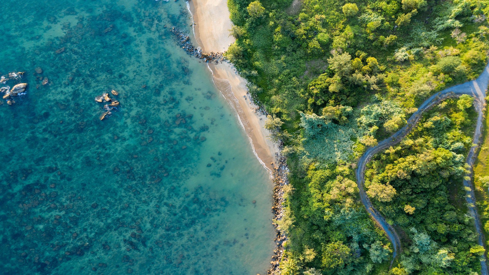 A bird's eye view photo of a beach and a jungle.