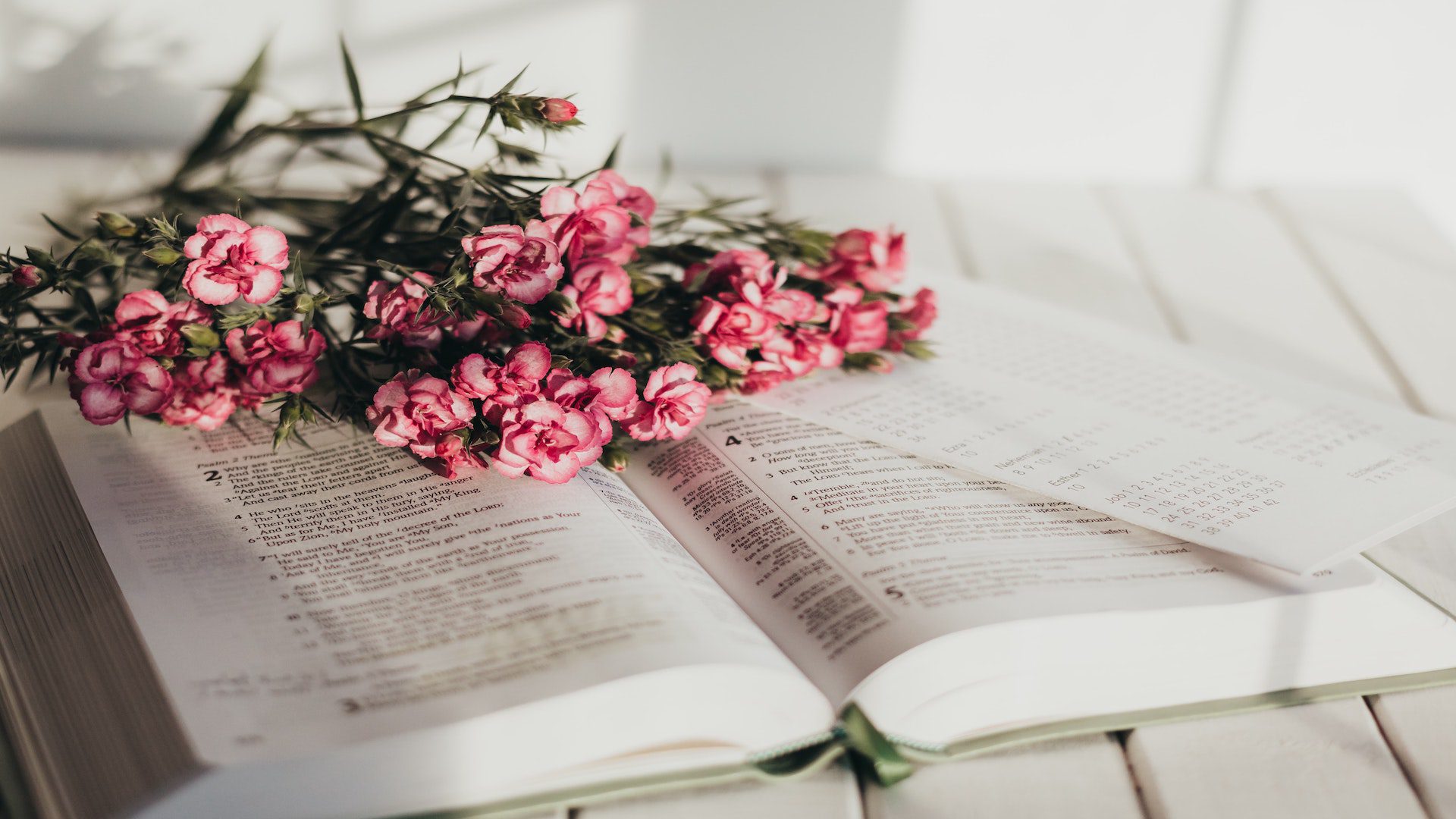 An open Bible is sitting on a table with a pink flower that is laying on top of it.