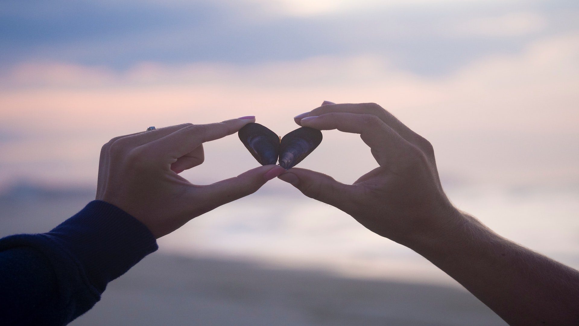 Person holding up angel wing shells at the beach