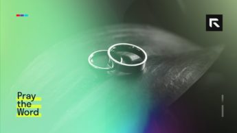 A set of rings sit on a table.