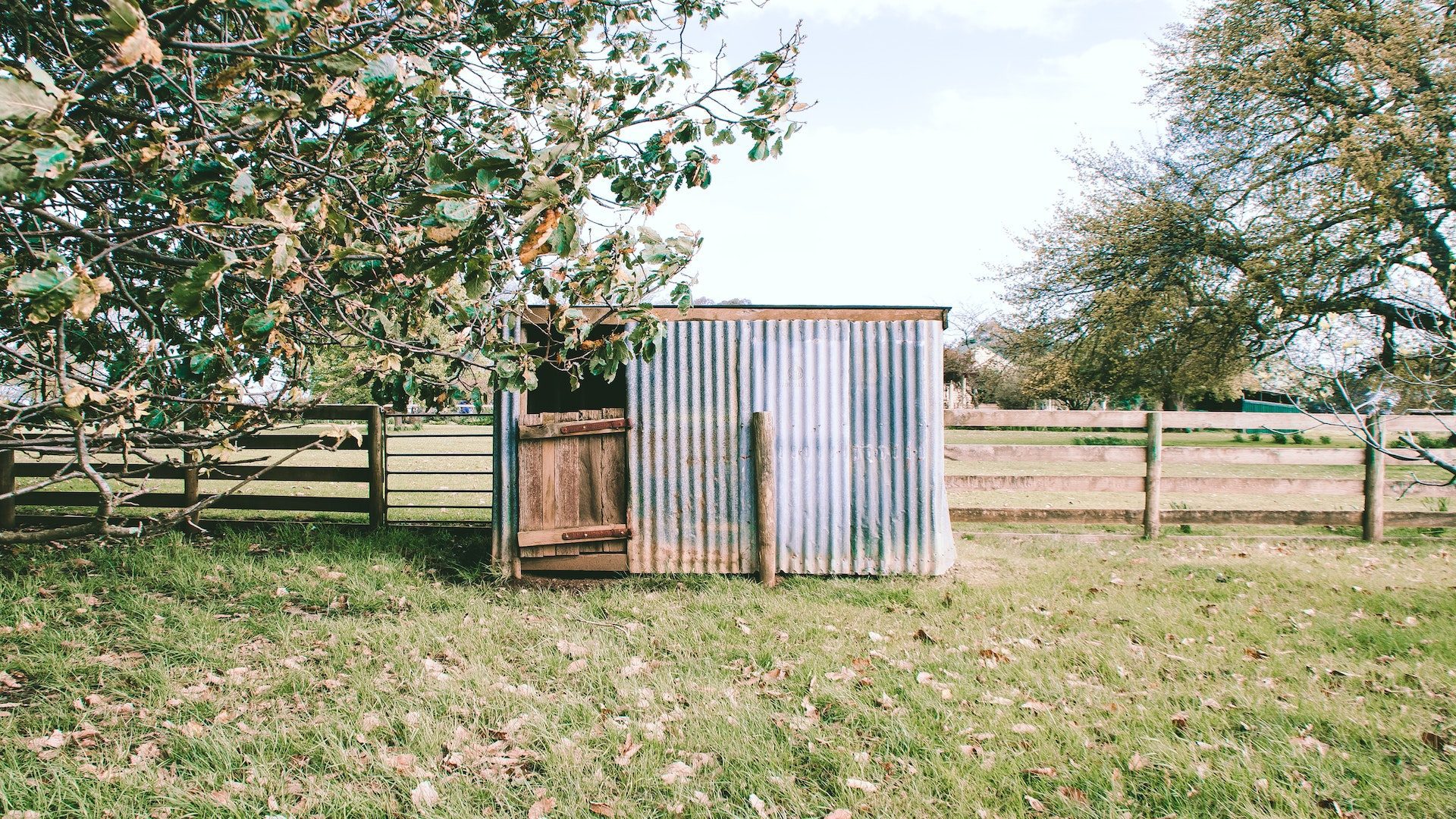 Wooden and tin shed in front of a fence in a grassy field.