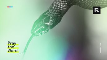 A snake represents Satan who is the deceiver and accuser.