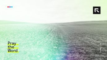 A field is split between fertile and barren land.