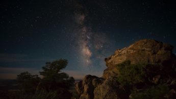 Starry sky over rock and tree.