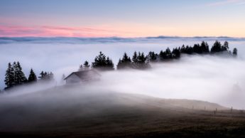 Fog and clouds covering a house and trees.