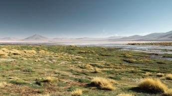 Green grass near water and mountains.