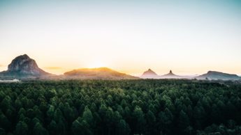 Green trees near mountains.