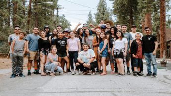 Group of people on a street near pine trees.