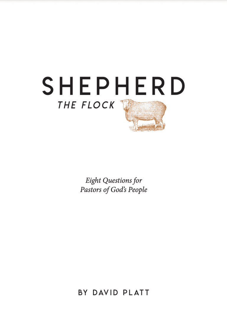 Shepherd the Flock by David Platt