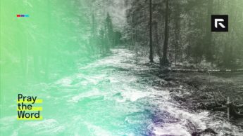 River near forest.