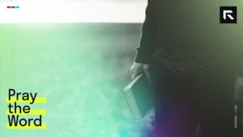 Woman in a field holding Bible in Right Hand