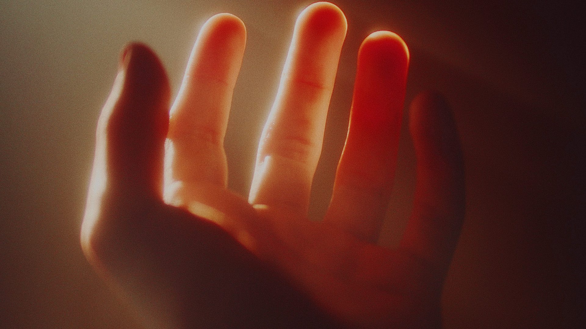 Tarta Mimosa, image size:1920x1080