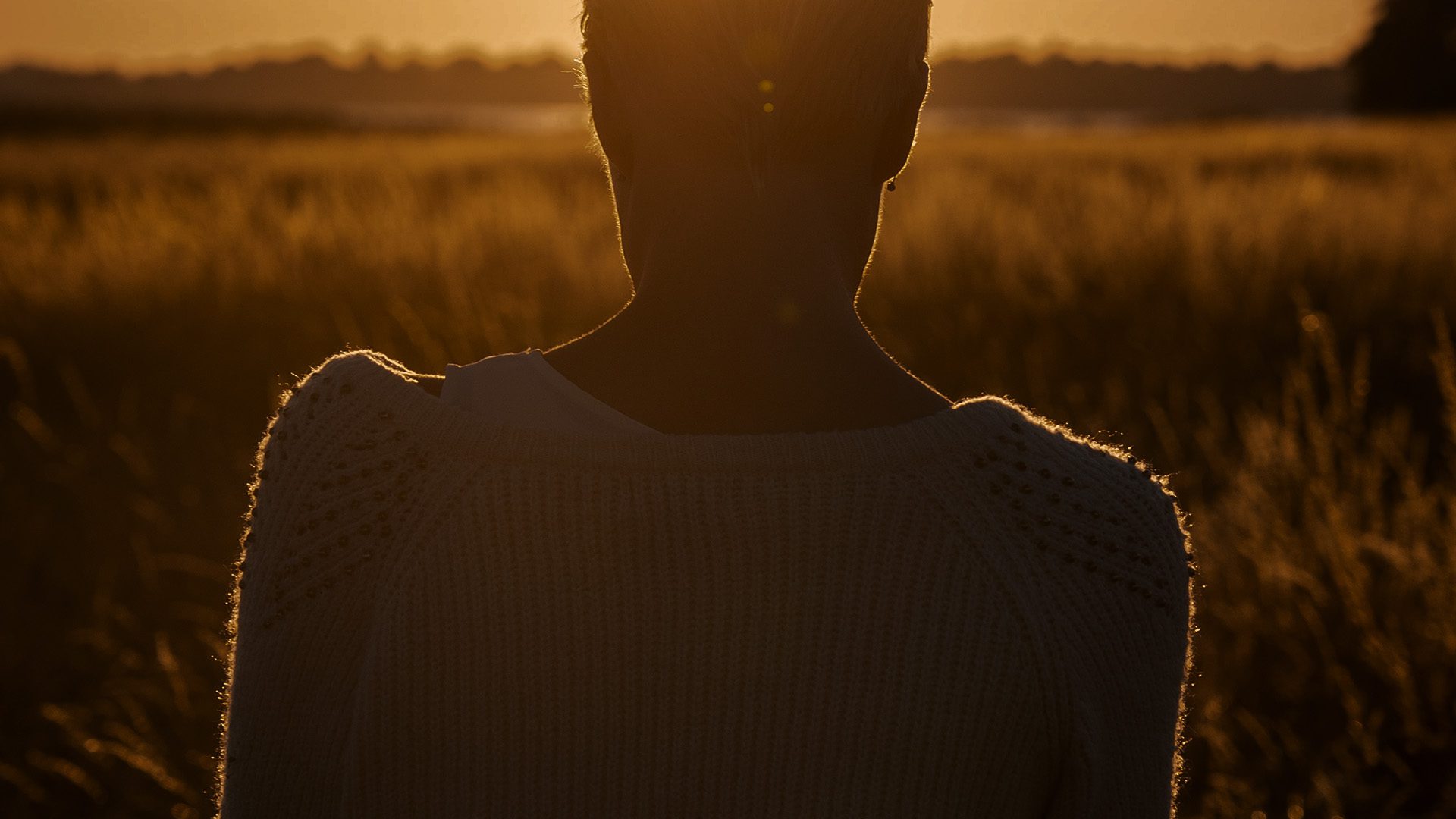 Metamorfóseos o Transformaciones (3 de 4), by Publio Ovidio Nasón—A Project  Gutenberg eBook, image size:1920x1080