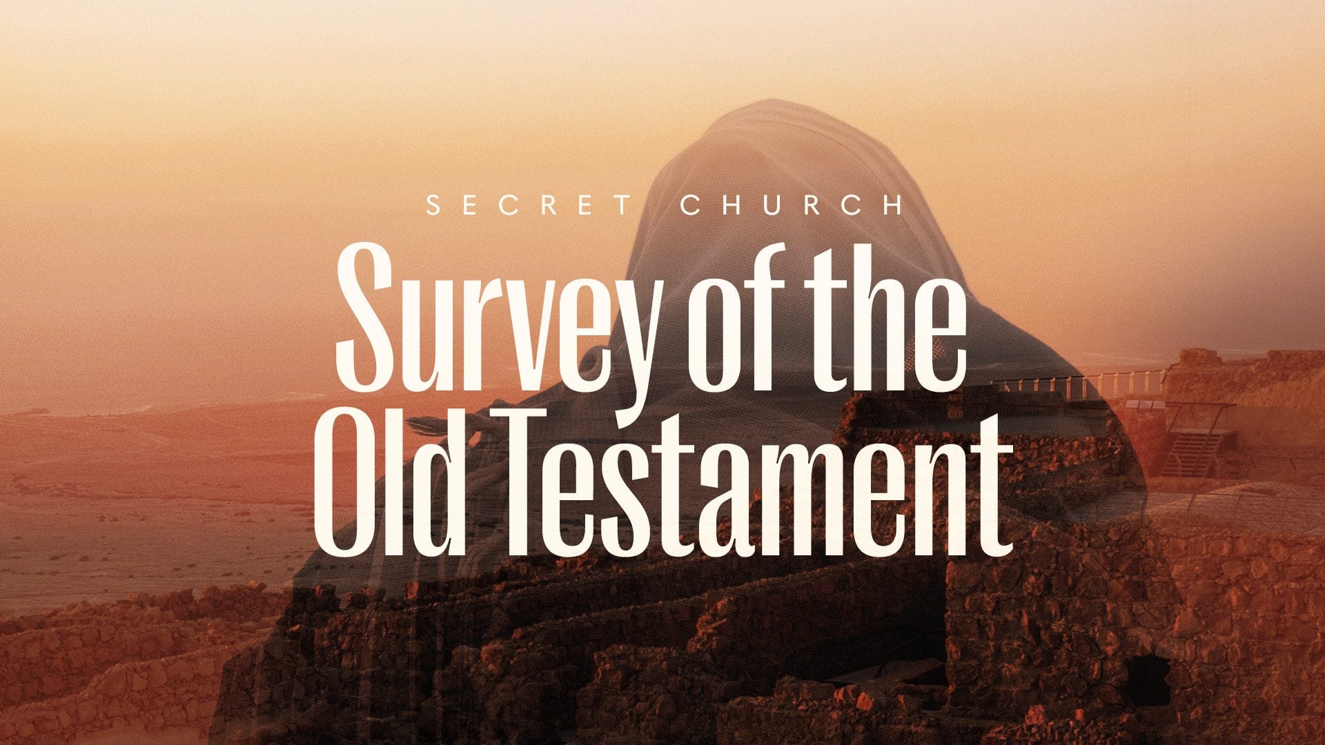 Person stares off into distance with text that says "Survey of the Old Testament"
