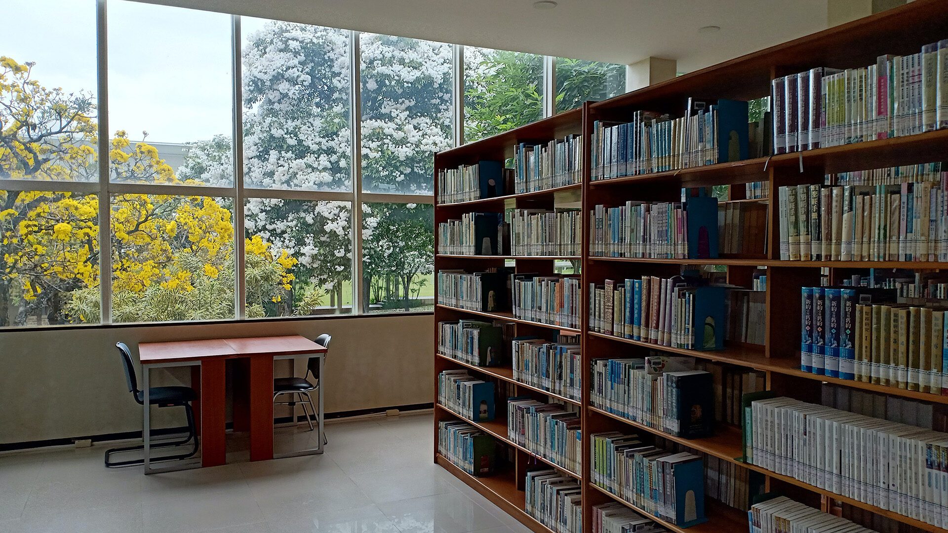 photo of the inside of a library