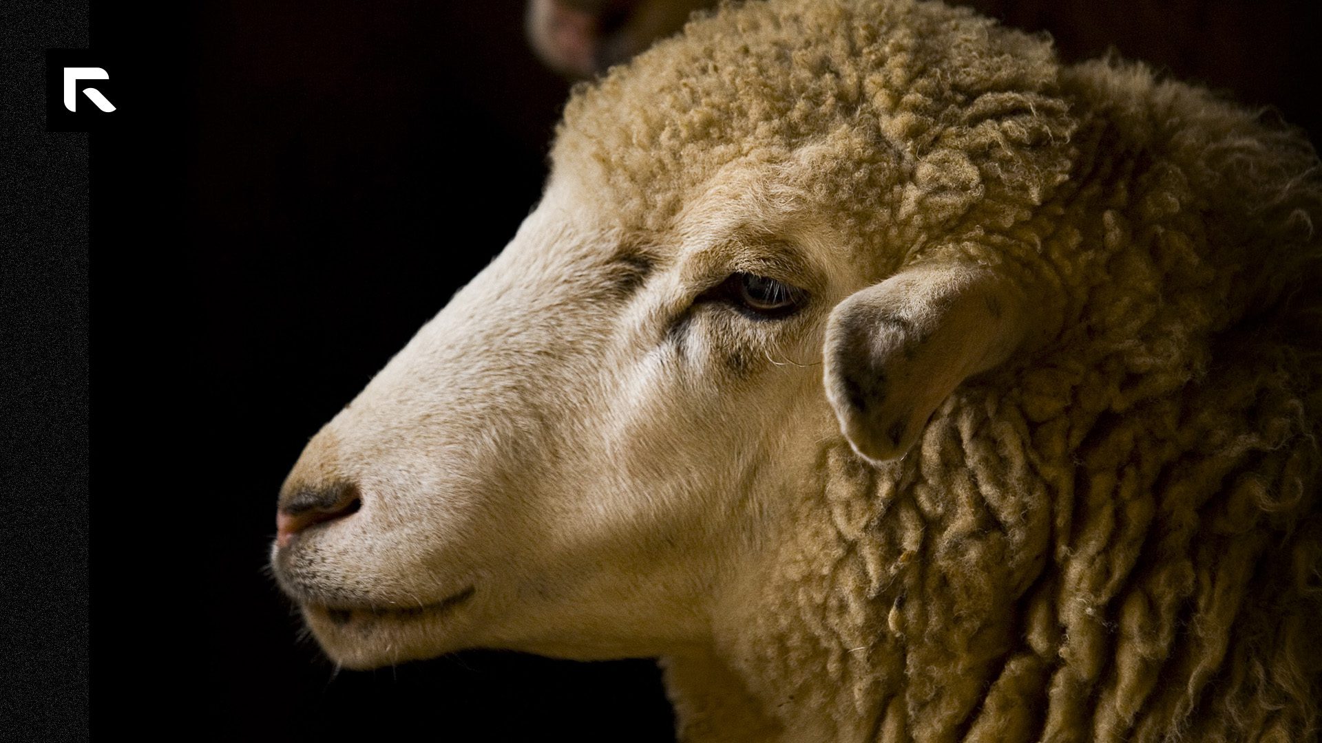 What Does the Bible Say about Sacrifice and Atonement? - Radical