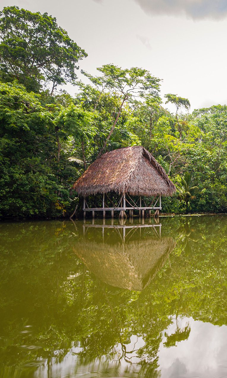 photo of the Amazon River in Brazil