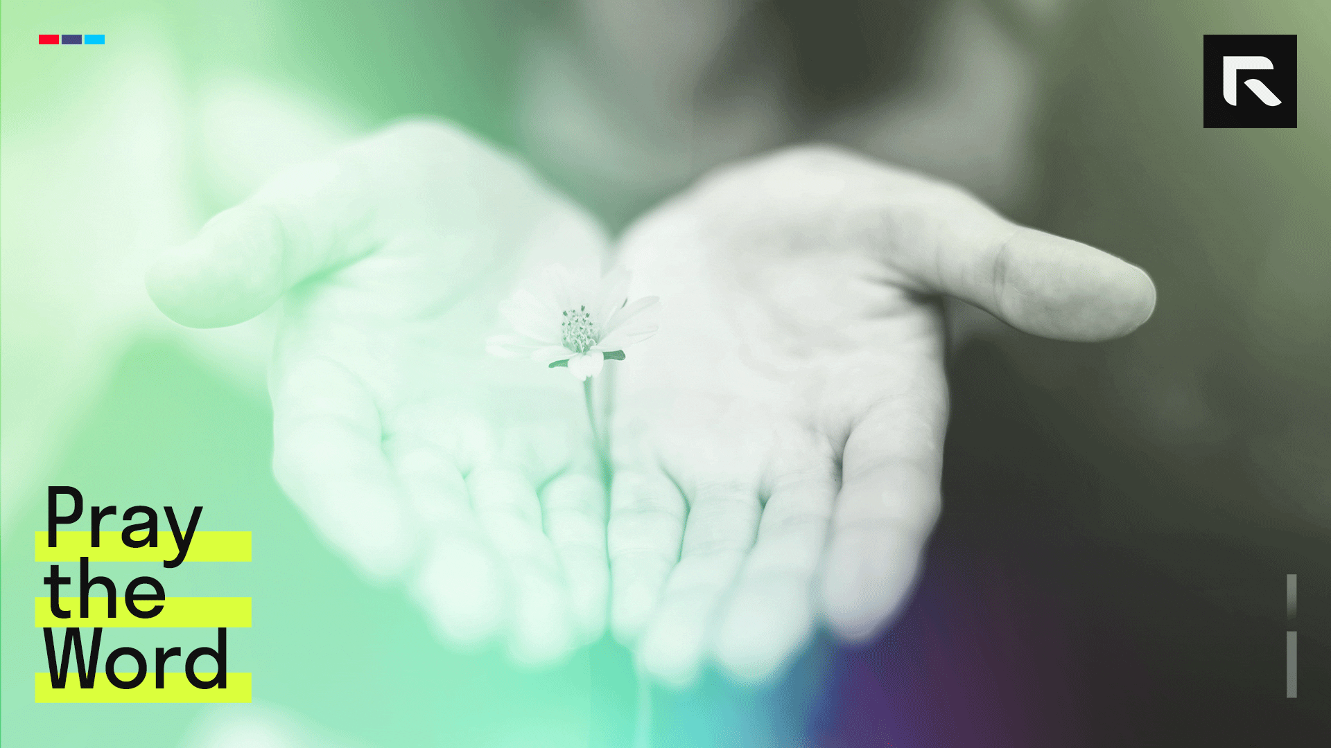 person holding a yellow-petaled flower