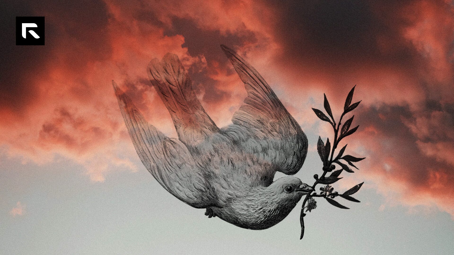 Dove with an olive branch flying though pink clouds