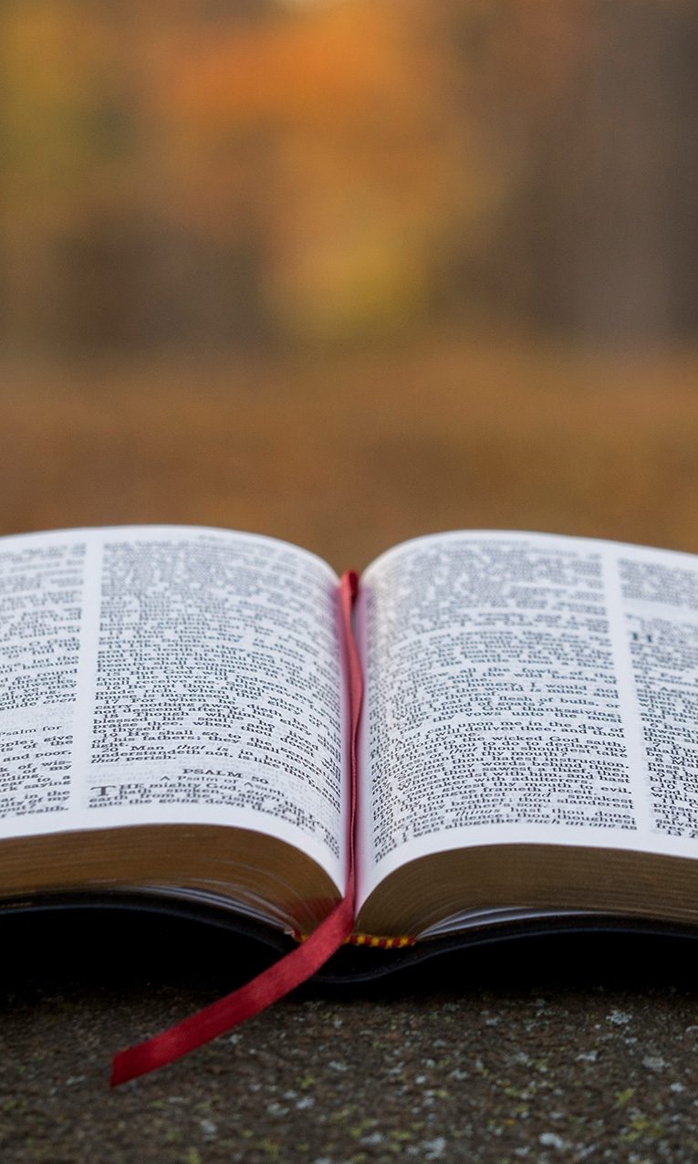 an open Bible