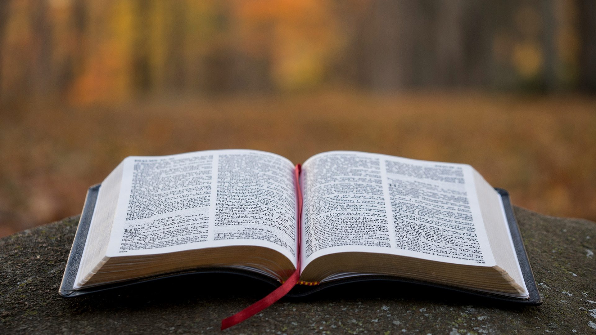 an open Bible