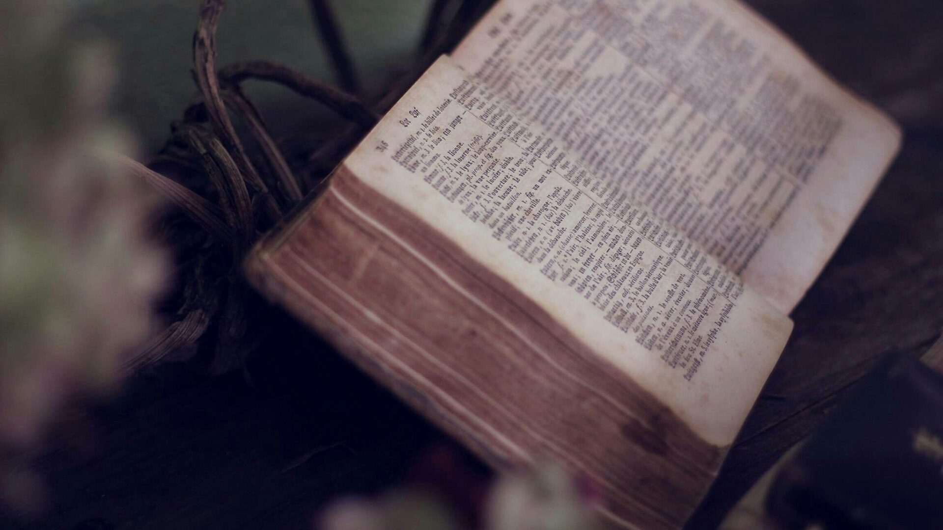 an open Bible