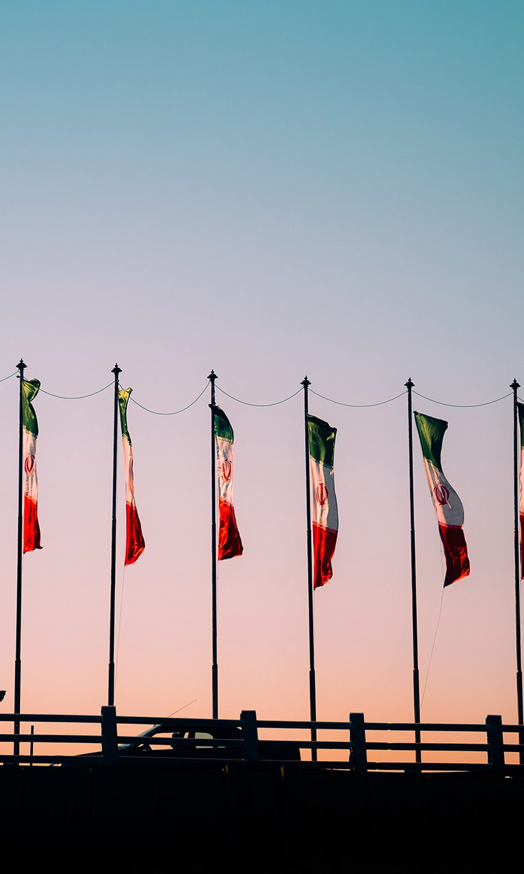 A row of Iranian flags.