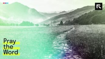 A path in a meadow.