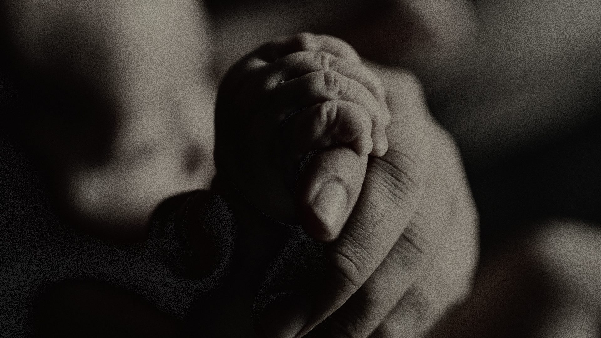 In this Advent sermon series, Pastor David Platt teaches us about the gentle care of Jesus Christ in the e.