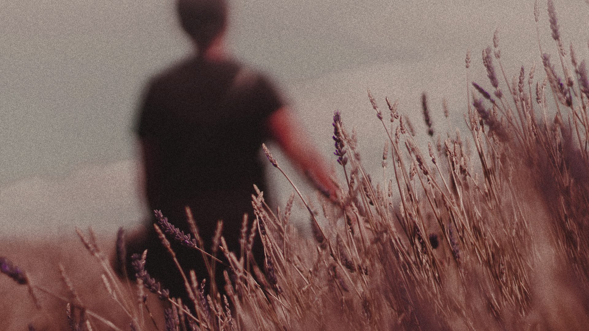 In this sermon series, Pastor David Platt spends time thinking through the call to make disciples and how Jesus commands us to follow him.