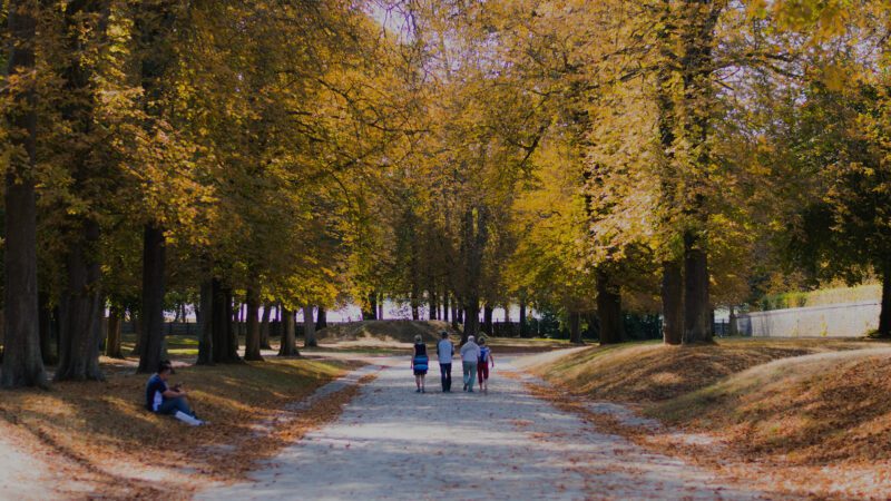 People walking under green trees.