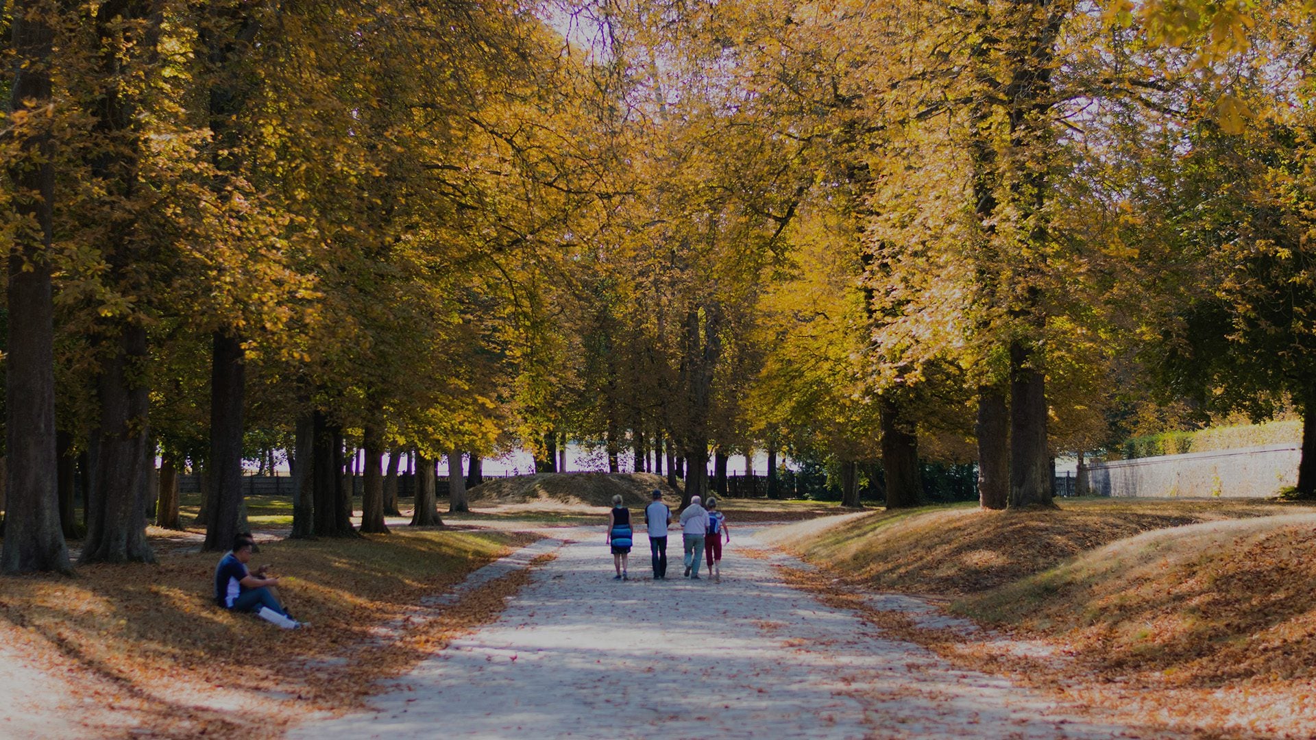 People walking under green trees.