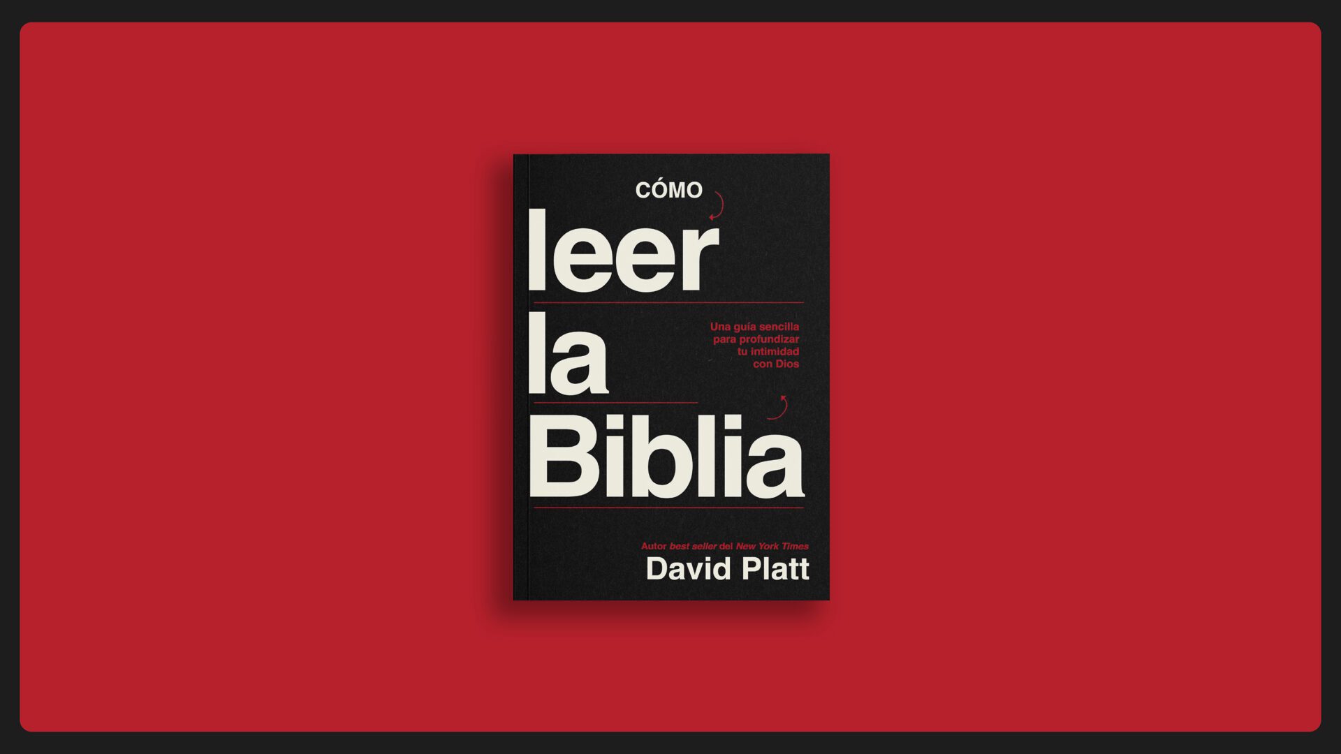 Cómo leer la Biblia.